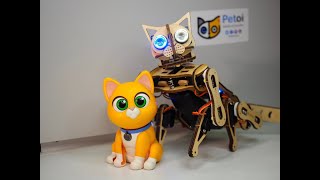 Robot Cat and Sock Puppet Unlikely Friends in Playtime  petoi [upl. by Ngo359]