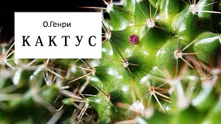 ОГенри «Кактус» Аудиокнига Читает Владимир Антоник [upl. by Hudson147]