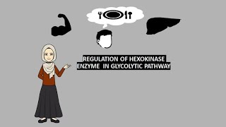 Regulation of hexokinase enzymes in the glycolytic pathway biochemistry regulation glycolysis [upl. by Chancey]