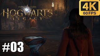 Hogwarts Legacy  Walkthrough Part 3  No Commentary 4K60  PC Longplay [upl. by Nessej]