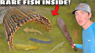 I Caught RARE Fish in a Primitive Fish Trap [upl. by Notxarb352]