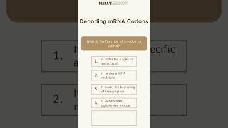 Biology MCQ What is the function of a codon on mRNA Diarasacademy [upl. by Anahs]