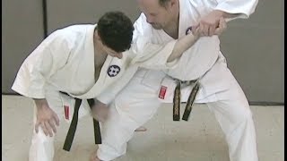 One Minute Bunkai Seisan Bunkai Series Part 6a [upl. by Myrah239]