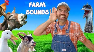 Exploring Animal Sounds with Farmer Jason Fun Educational Video For Kids [upl. by Nozicka]