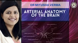 ARTERIAL ANATOMY OF THE BRAIN  DR MITUSHA VERMA  Radioanatomy Session  MCA PCA ACA ICA [upl. by Anahsohs]