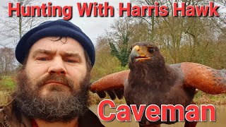 Hunting With Harris Hawk with the caveman [upl. by Anailil]