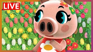 Gala Moves Into The Farm  Animal Crossing New Horizons LIVE [upl. by Pawsner]