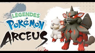 Où trouver Caninos et comment le faire évoluer en Arcanin dHisui  Pokémon Legend Arceus [upl. by Robin]