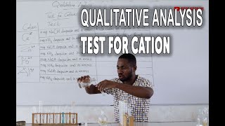 Qualitative Analysis of cation part 1 Chemistry Practicals [upl. by Eillil496]