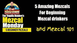 5 Great Mezcals for beginning mezcal drinkers  The Tequila Hombre [upl. by Eliot286]