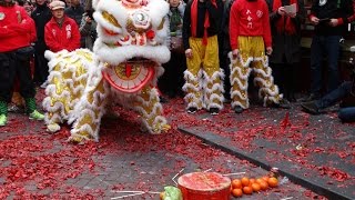 Chinees Nieuwjaar 2017 Amsterdam Het Jaar van de Haan [upl. by Latsyrc]