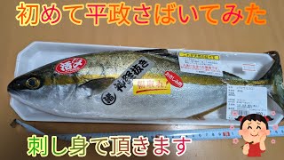 初めてヒラマサさばいてみた「激安800円40センチ」鮮度抜群！！刺し身で頂きます [upl. by Beasley]