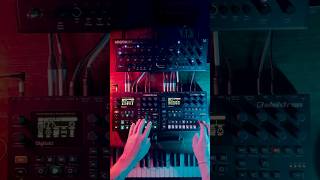 EDM live synthlover electronicmusic synth synthlife synthesizer synthvibes [upl. by Munshi]