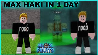 How To Maximize Ken Haki  Observation Haki  In 1 Day Tips And Tricks In Blox Fruits [upl. by Anitsyrhk]