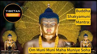 Buddha Shakyamuni Mantra Om Muni Muni Maha Muniye Soha  tibetan budhhism [upl. by Adina832]