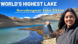 Lachen to Gurudongmar Lake amp Kala Patthar in Sharing Taxi From Gangtok North Sikkim  Heena Bhatia [upl. by Hauge221]