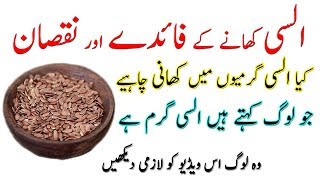 Alsi Ke Beej ke Fayde  Flax seeds khane ke fayde  Alsi ke beej benefits  Flax seeds benefits [upl. by Rea]