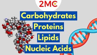 Macromolecules Explained  2MC GIGAVID [upl. by Sixel]