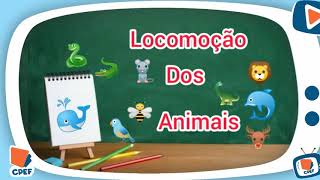 Locomoção dos animais  Ciências Professora Margerlandia [upl. by Bax]