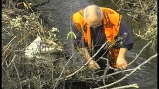 Bottom Edge Mink Trapping with Bob Noonan [upl. by Erroll]