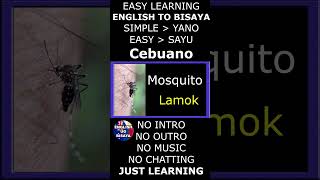 English to Bisaya  Cebuano Lessons  15 Common Words Lesson 43 [upl. by Safoelc424]