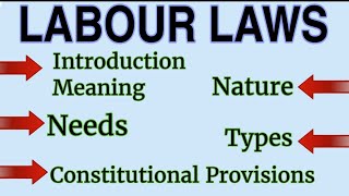 Labour Law Introduction Meaning Types Nature Need amp Constitutional Provisions of Labour Law [upl. by Elockin634]