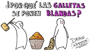 ¿POR QUÉ LAS GALLETAS SE PONEN BLANDAS Y LAS MAGDALENAS DURAS 🍪  DrawXpress [upl. by Avek]