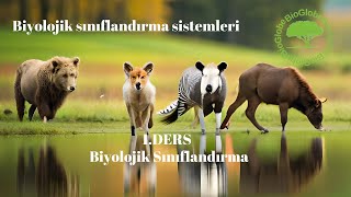 quotYENİ MÜFREDATquot 9Sınıf  Biyolojik sınıflandırma sistemleri [upl. by Divadnhoj905]