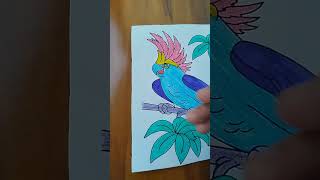 Color drawing shorts youtubeshorts coloring drawing satisfying [upl. by Eimmac]