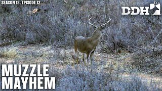 Muzzleloader Mayhem  Deer amp Deer Hunting TV [upl. by Englis]