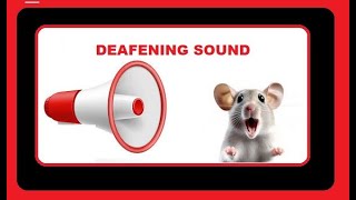 NEW RAT REPELLENT  DEAFENING SOUND to ELIMINATE RATS FROM YOUR HOME [upl. by Emera]