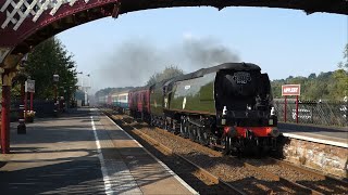 Tragic Tangmere in Trouble Today 21 09 24 [upl. by Jemima]