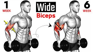 15 BEST Exercises for WIDER BICEPS [upl. by Ydeh]