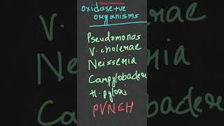 Oxidase test microbiological identification test biochemical test [upl. by Kafka]