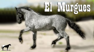 El Caballo Murgues 🐴Del Cerro Soy [upl. by Ahcila]