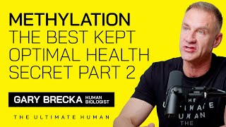 Methylation Explained  The Best Kept Optimal Health Secret Part 2 with Gary Brecka [upl. by Iruy]