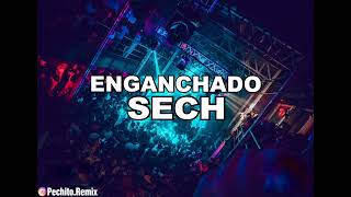 SECH ✘ ENGANCHADO FIESTERO ✘ 2024 ✘ PECHITO REMIX 🎵🐻 [upl. by Drucy]