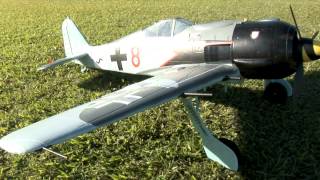 FMS Giant 1400mm FockeWulf Fw 190A ARF [upl. by Aernda]