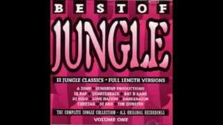 Best Of Jungle Volume One [upl. by Euqram]