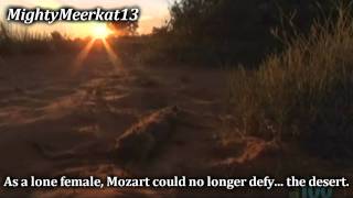 The sad death of Mozart With Subtitles [upl. by Meda]