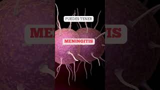 Meningitis Señales de Alerta y Tratamientos meningitis alerta sintomas salud [upl. by Adnorahc]