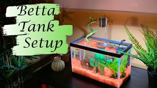 How to Set Up the Tetra 25 Gallon Aquarium [upl. by Eille]