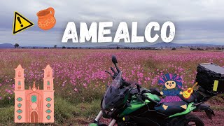 Me ESCAPO a un PUEBLO MAGICO lleno de mirasoles por un pan  AMEALCO QUERETARO en MOTO por México [upl. by Wedurn]