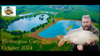 Merrington Carp Fishery [upl. by Willi]