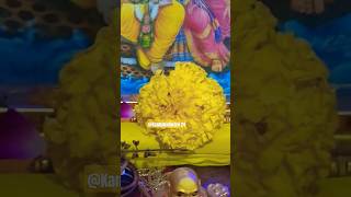 Devuthni ekadashi special 2024ShortsekadashiLaddogopal shorts Kanhakidiwani 24🚩❤️❤️❤️ [upl. by Raknahs]