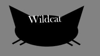 Wildcat 2 Movie Serial Announcement Teaser [upl. by Aan]