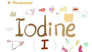 You need Iodine  Thyroid Function [upl. by Ifok]