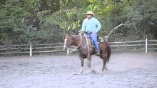 Spade bit bridle horse training with James W Moody [upl. by Auqinom]