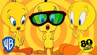 Looney Tunes  2022 The Year of Tweety 💛  WB Kids [upl. by Rafaelita]