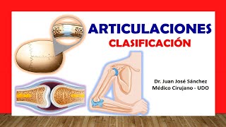 🥇 ARTICULACIONES Clasificación Fácil Rápida y Sencilla [upl. by Krein284]